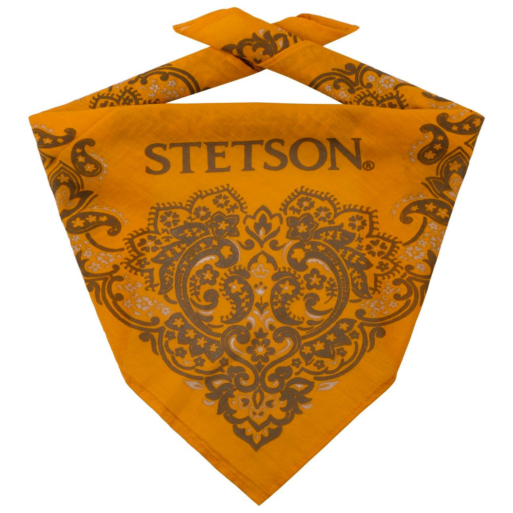 Stetson Bandana